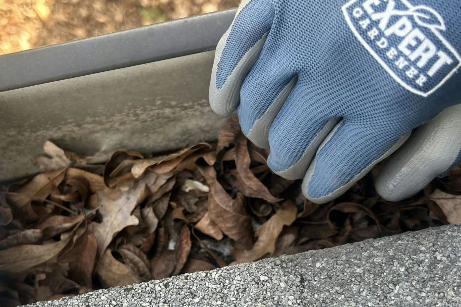 Gutter Cleaning West Dallas