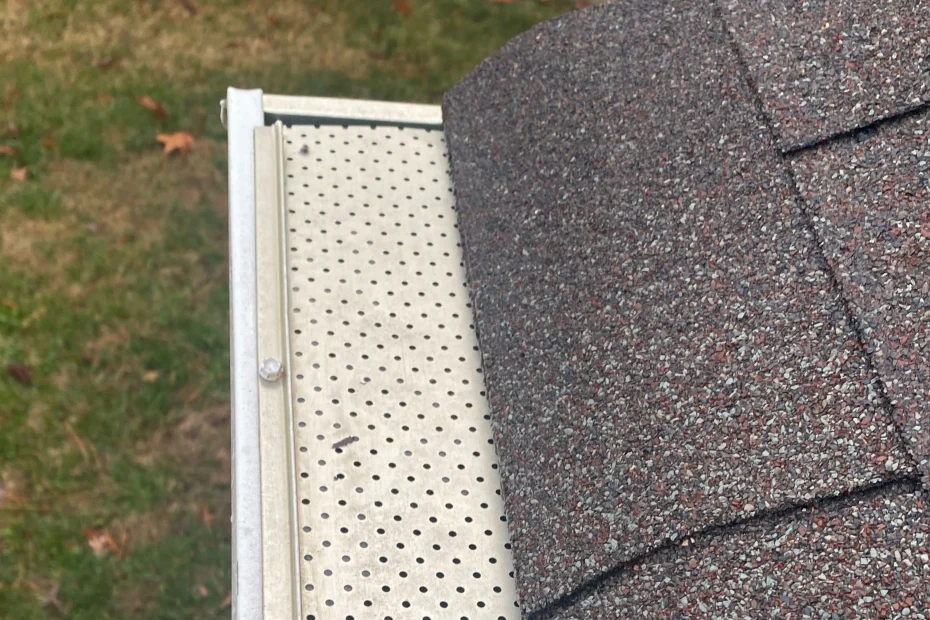 Gutter Cleaning West Dallas